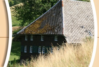 Urlaub im Albrechtenhäusle - Buchenbach im Schwarzwald