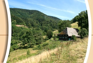 Urlaub im Albrechtenhäusle - Buchenbach im Schwarzwald